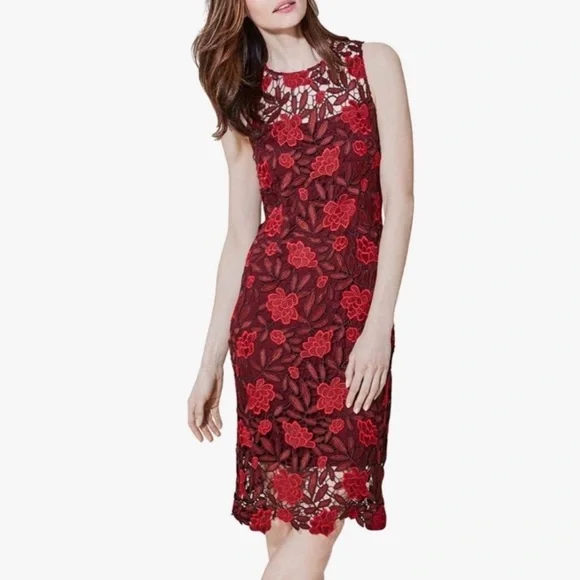 green emerald velvet dress Calvin Klein Womens Floral Embroidered Spaghetti-Strap Dress Black Multi  Size 6 at Amazon Women's Clothing store main image 1